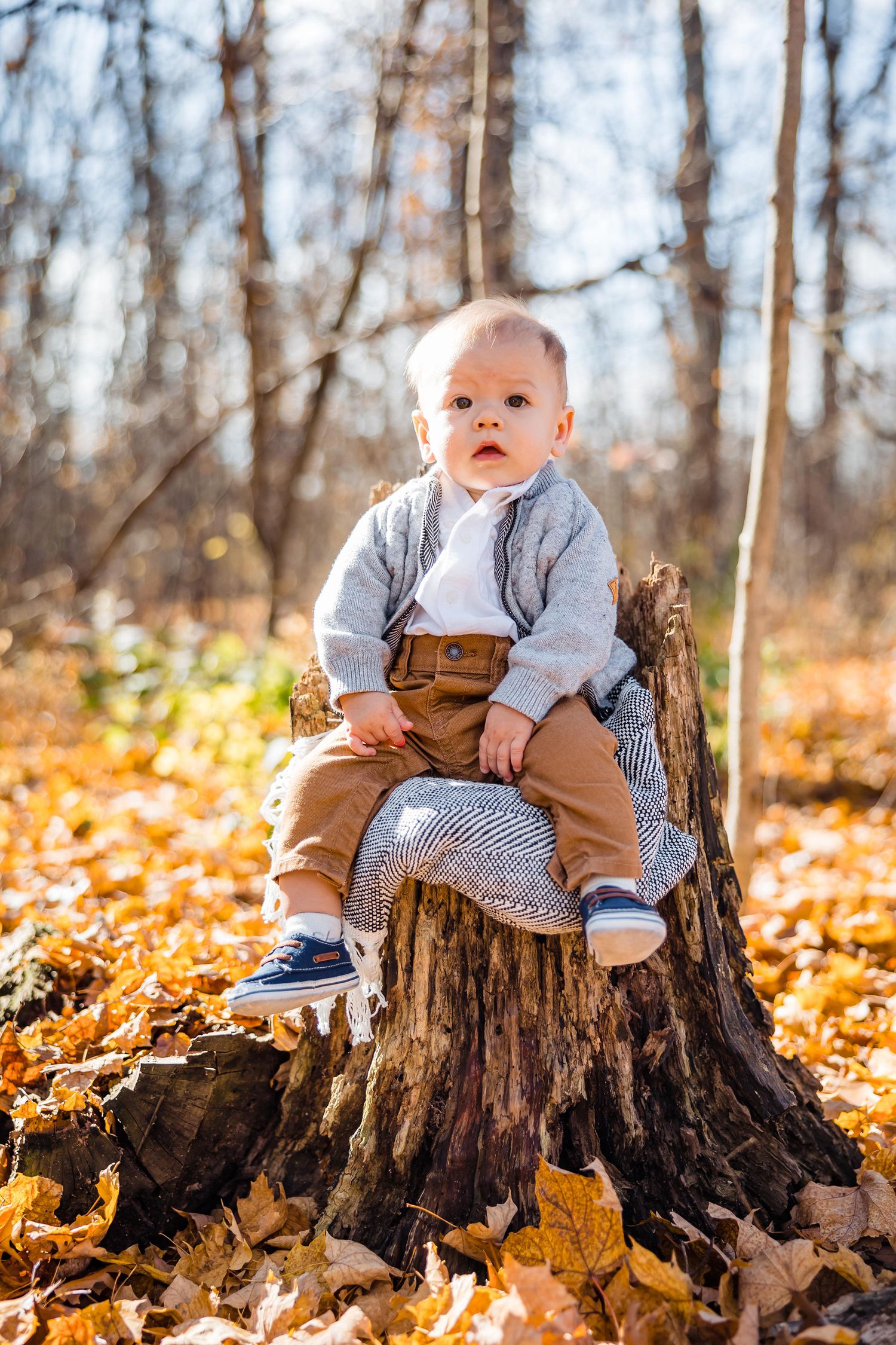 Baby sitting on tree stump surrounded by fallen autumn leaves in a forest setting.