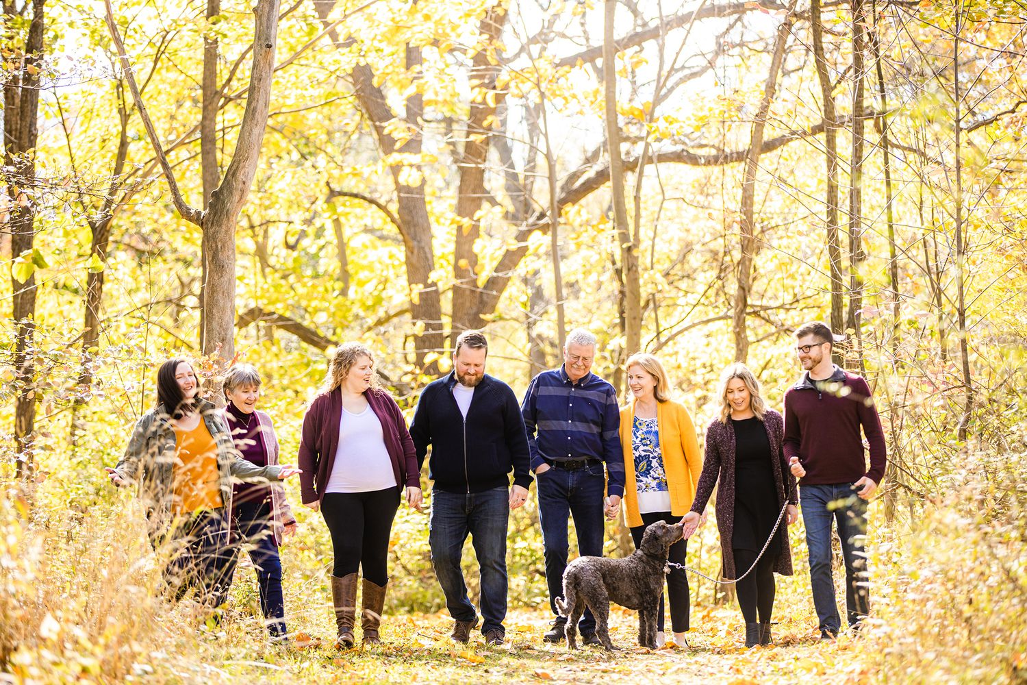 Extended family group walking together with their dog through autumn woods with golden leaves.