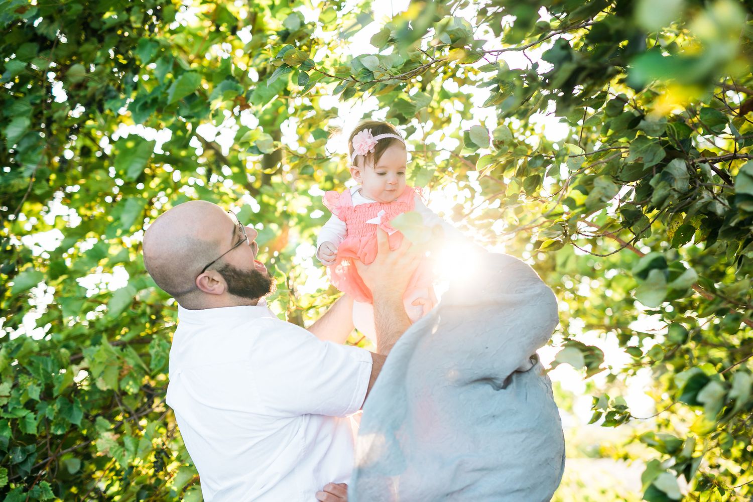 Sunlight streams through green leaves in a garden setting creating a bright natural backdrop.