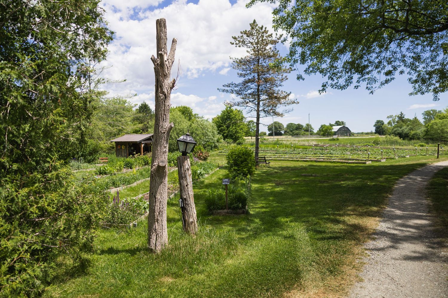 Rural farm property with gravel driveway, decorative lamp post on tree stump, red barn, and lush green fields under cloudy sky.
