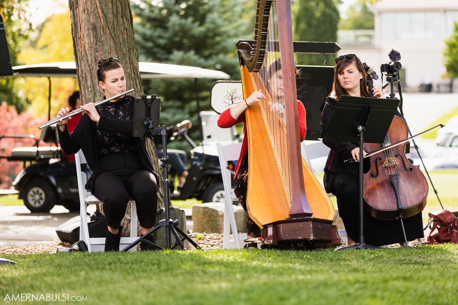 Classical musicians perform with harp, cello and other instruments during outdoor wedding.