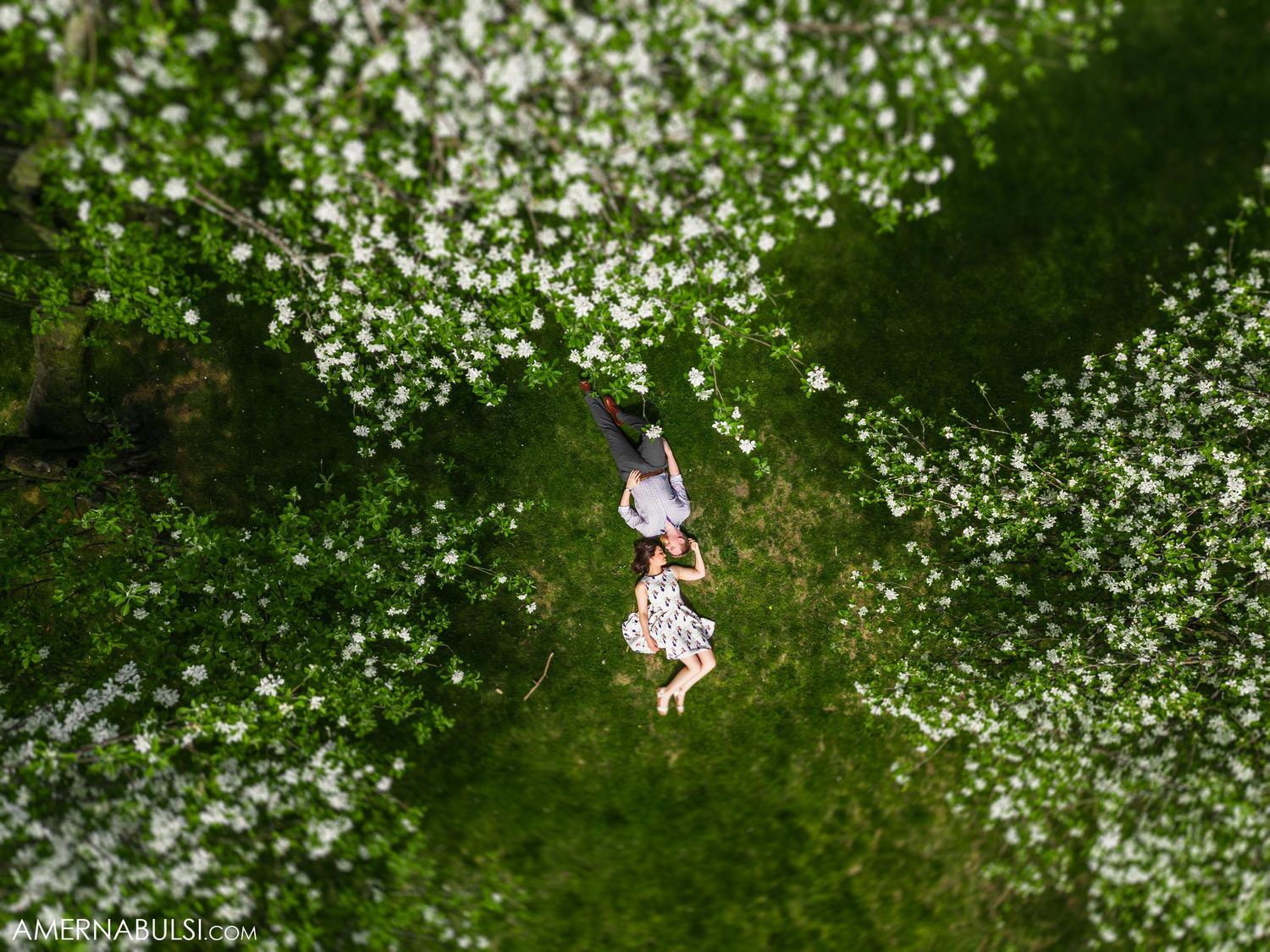 Aerial view of a couple standing in a blooming garden surrounded by white flowers.