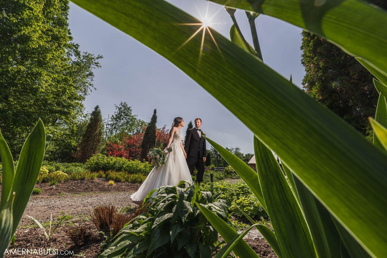 Creative wedding photo framed through large green leaves in a garden setting.