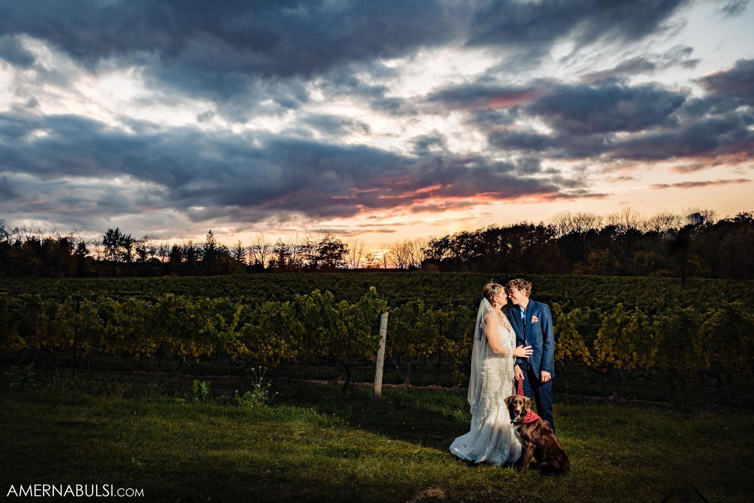 Couple embracing in a vineyard at sunset with dramatic cloudy sky and silhouetted trees in background.