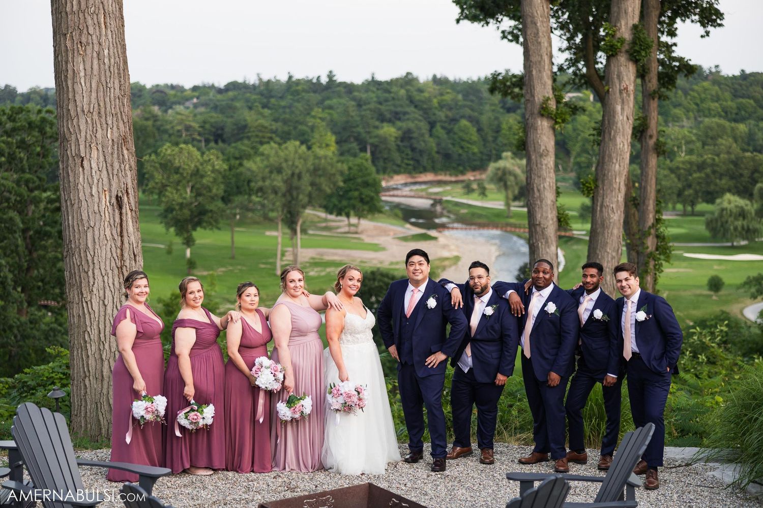 Wedding party poses on scenic overlook with bridesmaids in pink dresses and groomsmen in navy suits.