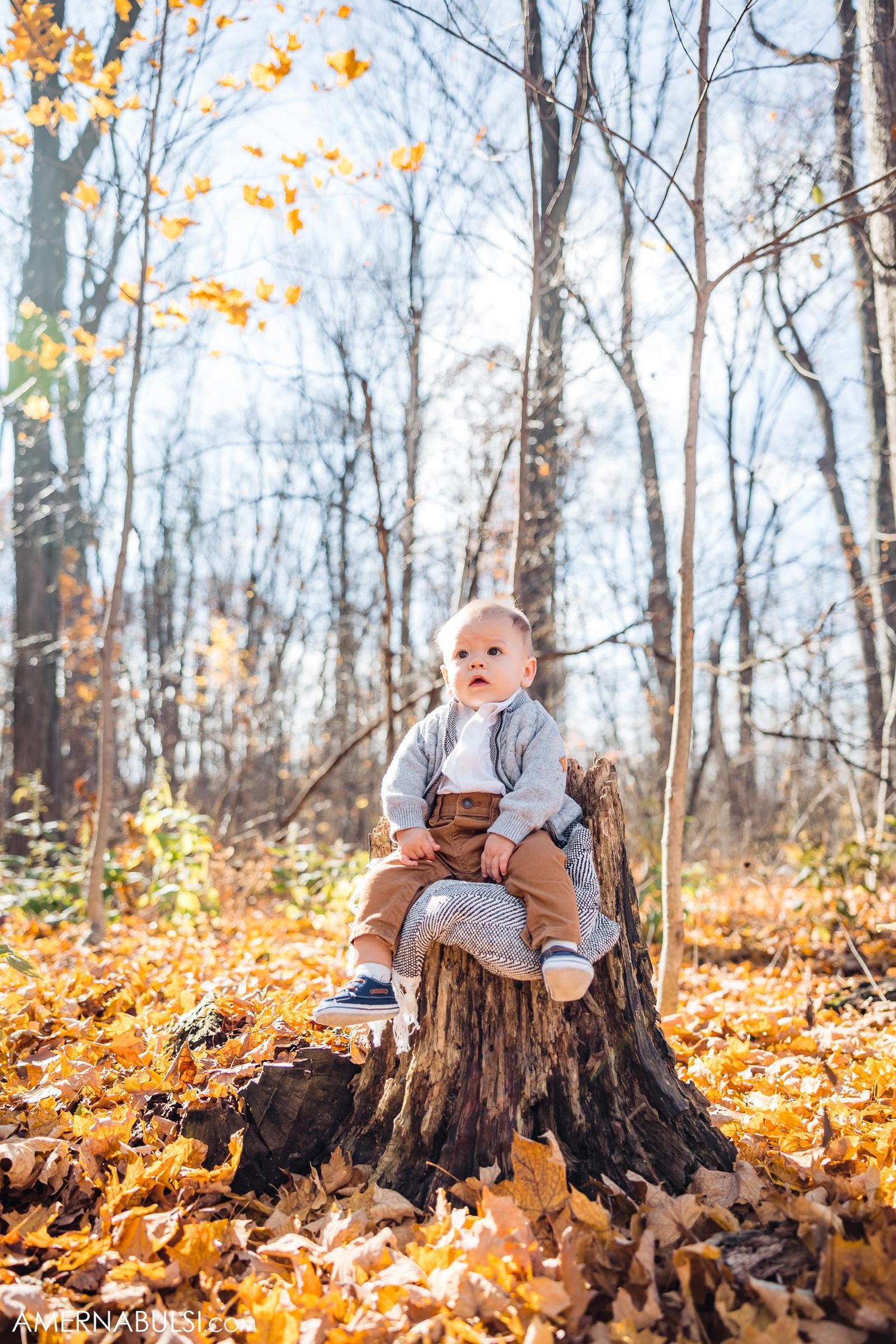 A baby sits on a tree stump surrounded by fallen autumn leaves in a forest setting.