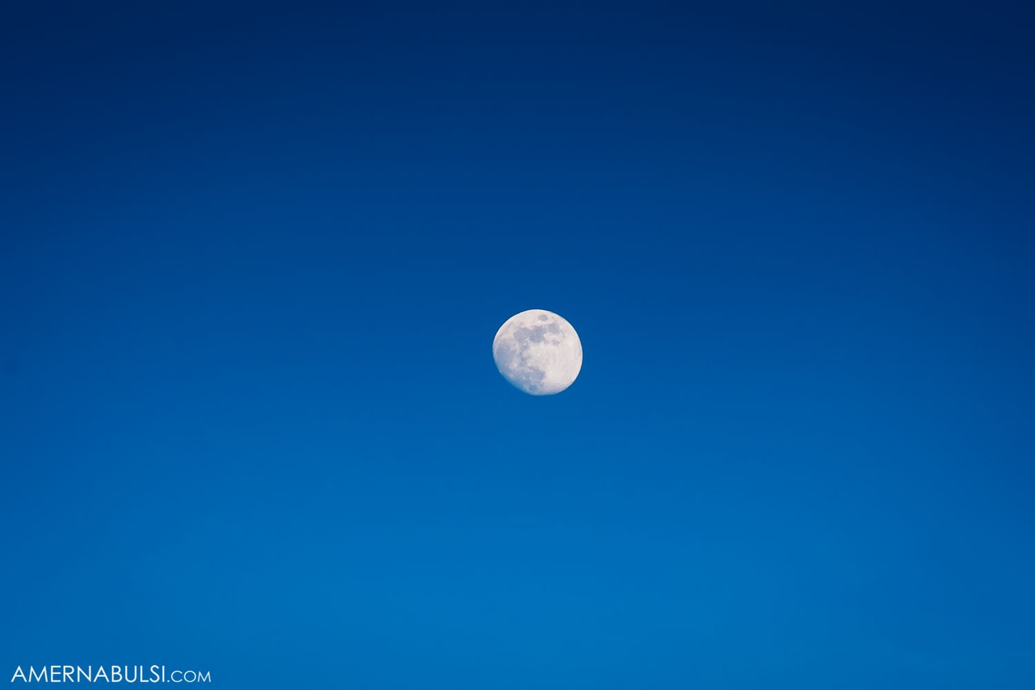 Full moon rising in a deep blue evening sky.