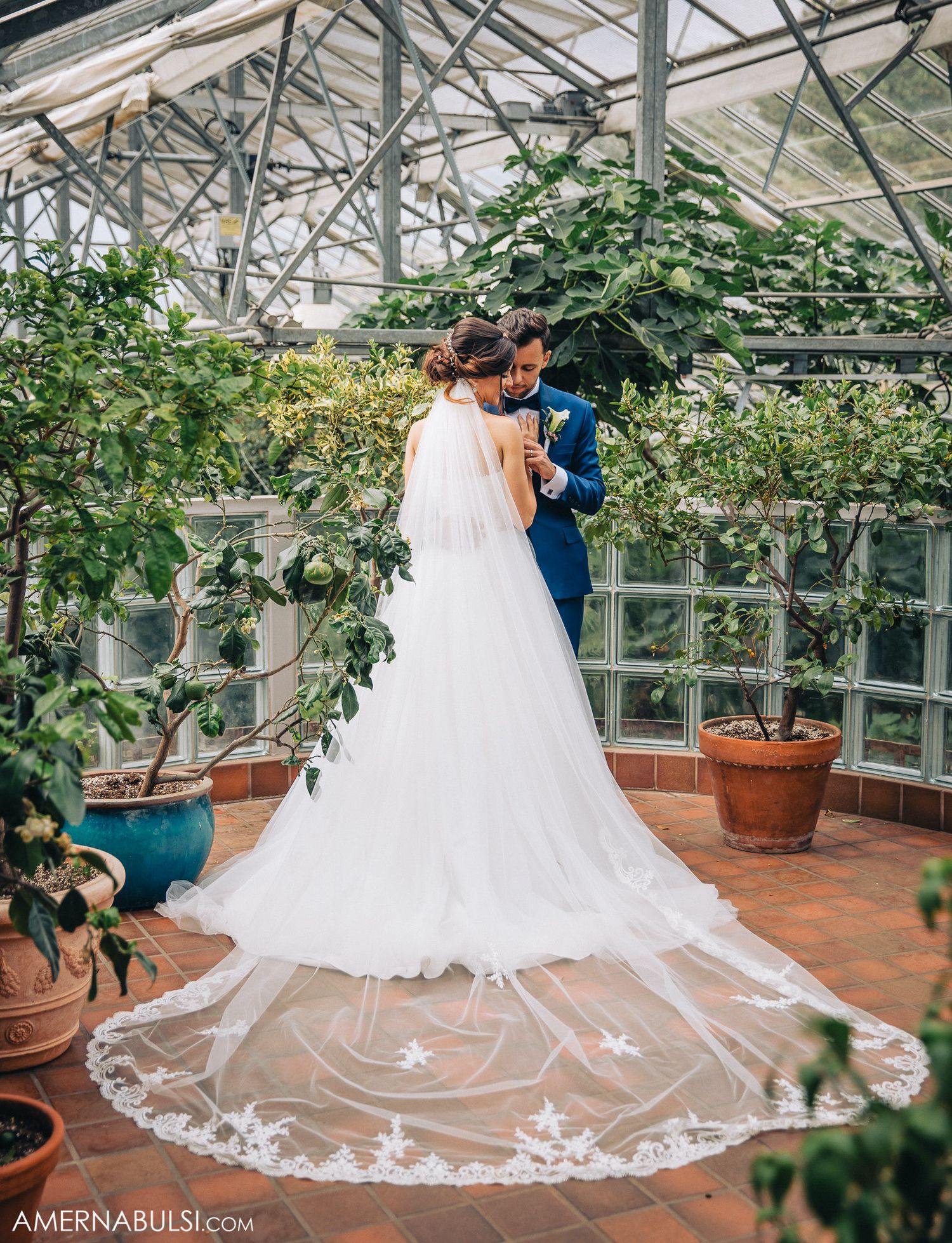 Elegant wedding dress with intricate lace train displayed in a sunlit greenhouse conservatory.