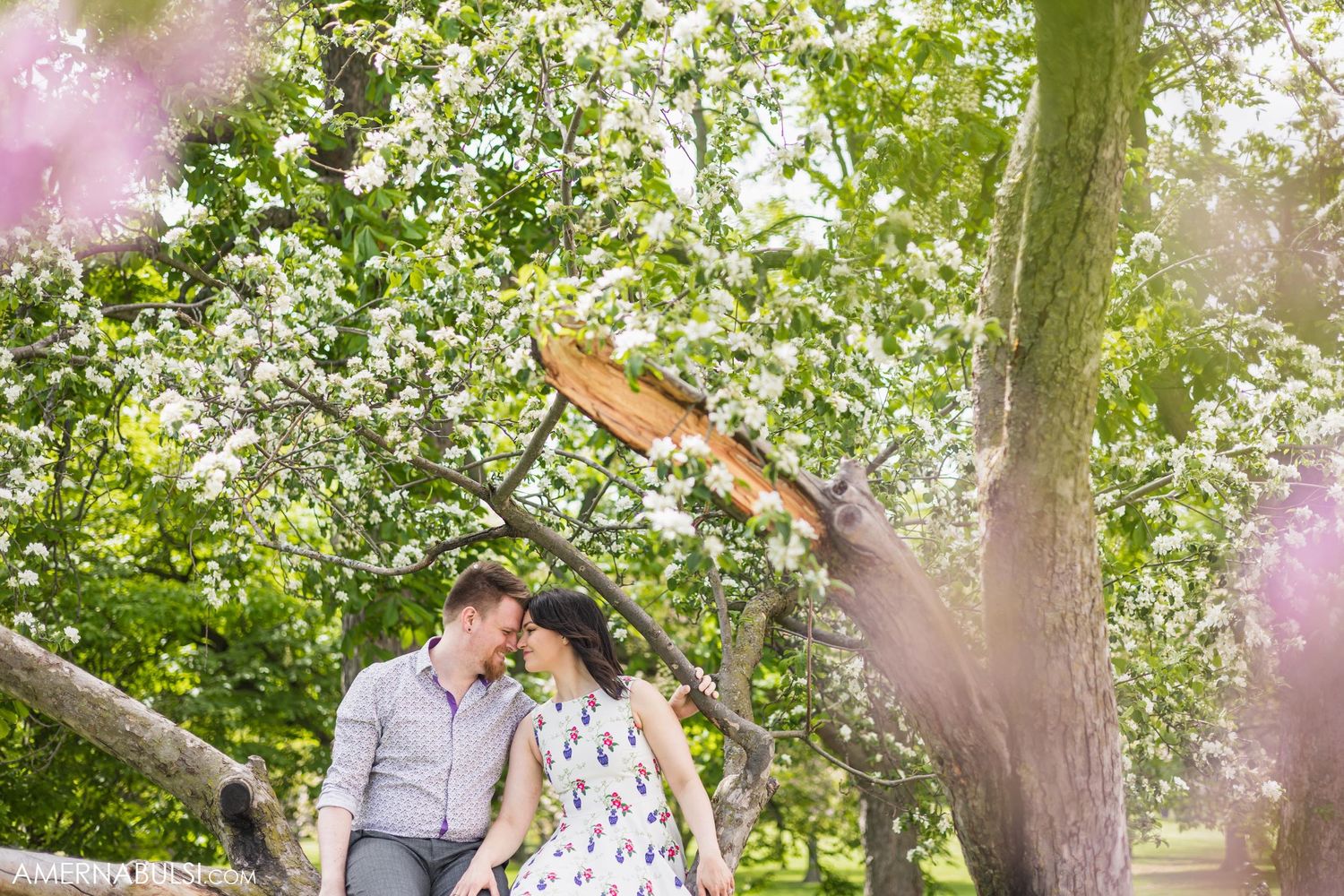 Couple sharing an intimate moment while sitting in a blooming tree with sunlight filtering through.