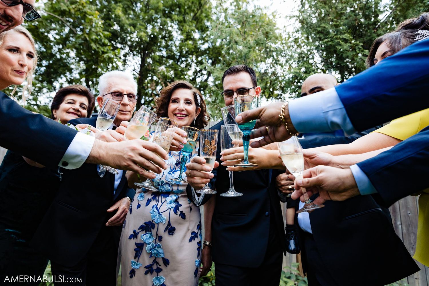 Wedding party toasts with champagne glasses in outdoor celebration.
