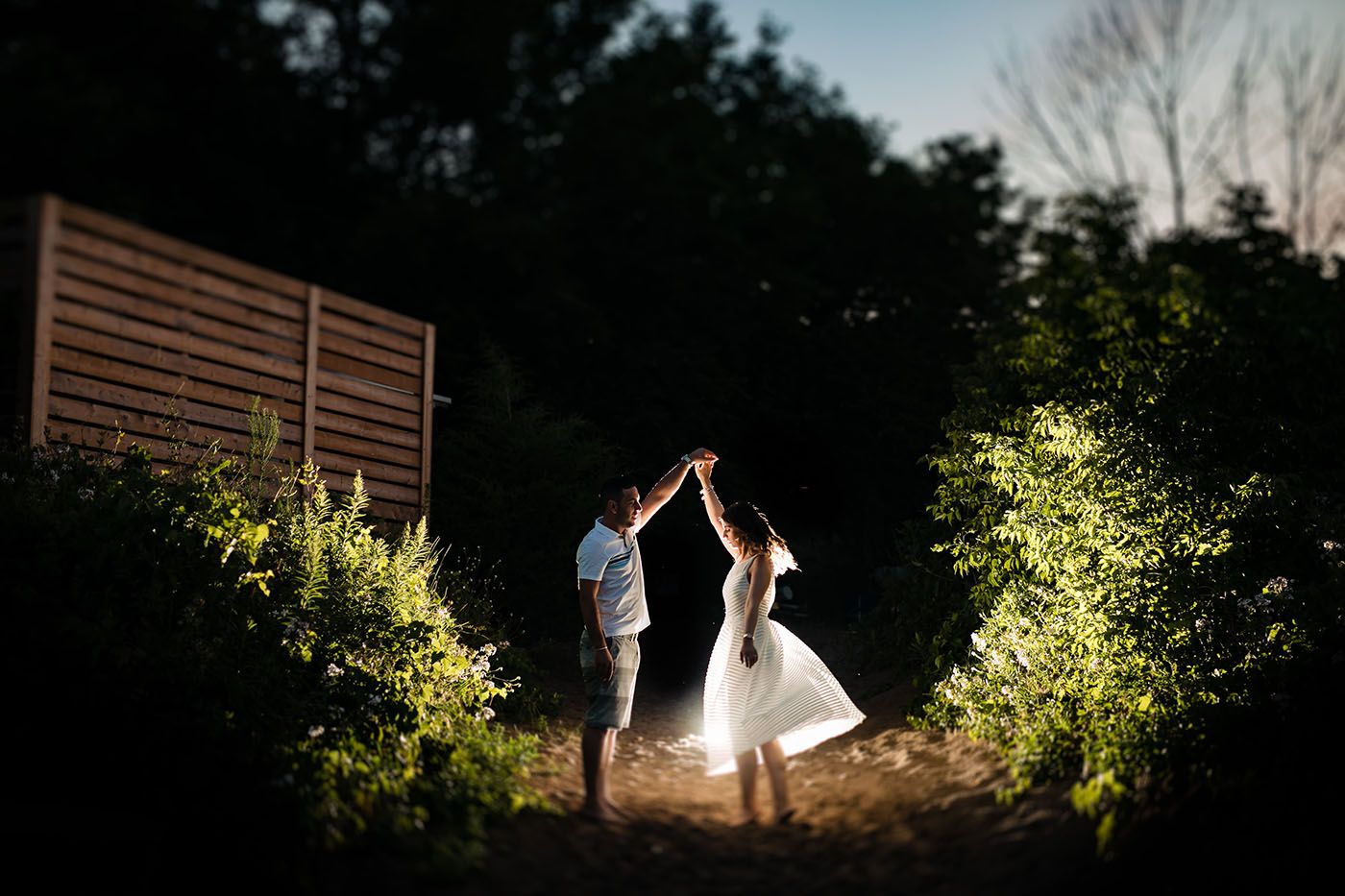 Dramatic silhouettes against sunset lighting in a garden setting.