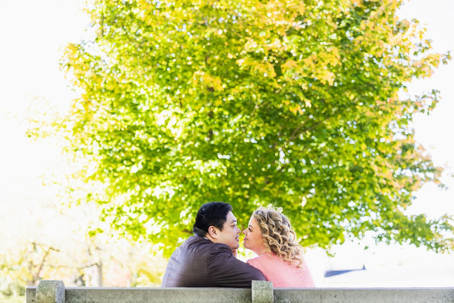 A couple shares an intimate moment on a bench under a vibrant green and yellow tree.
