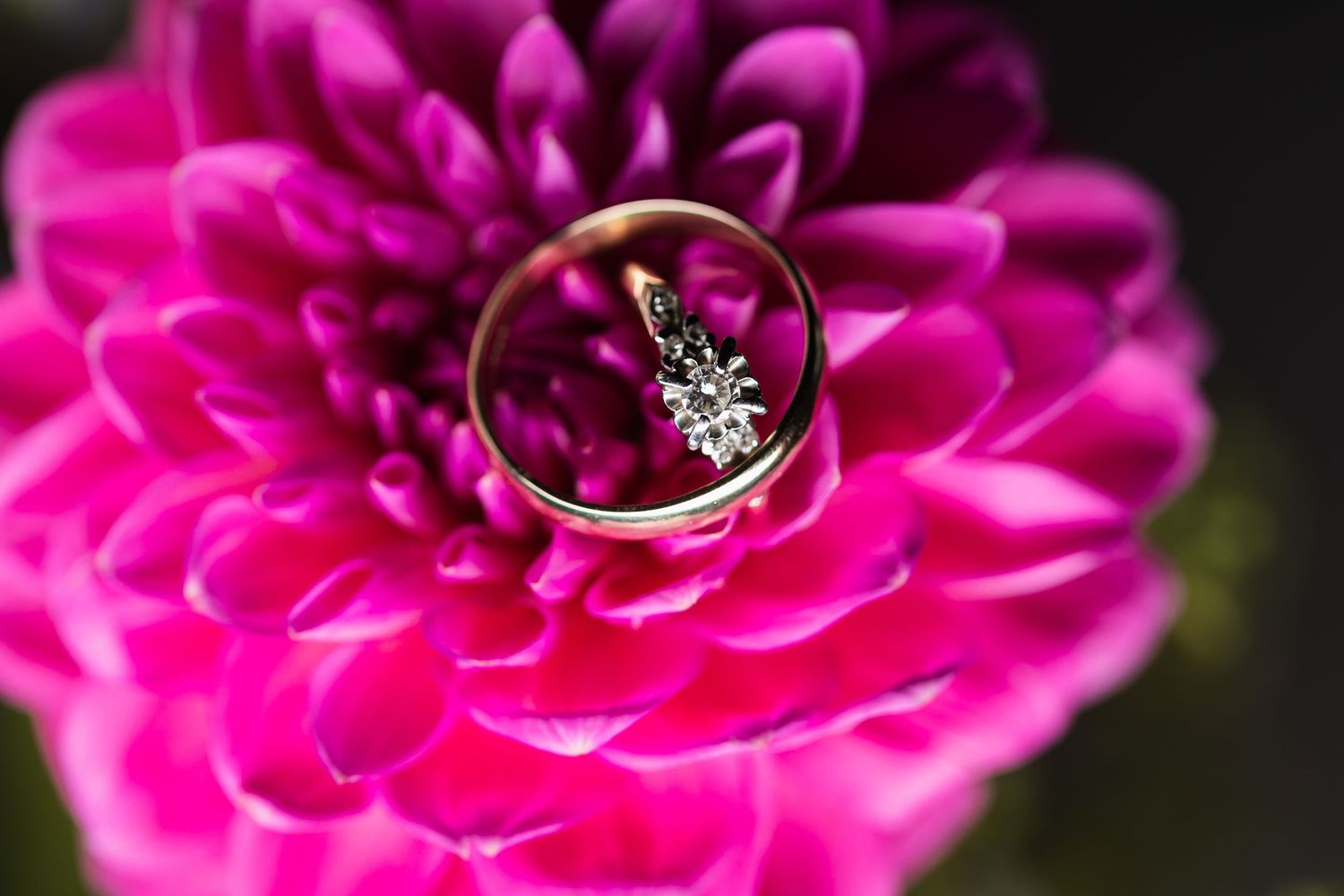 Diamond engagement ring and gold wedding band displayed on a vibrant pink dahlia flower.