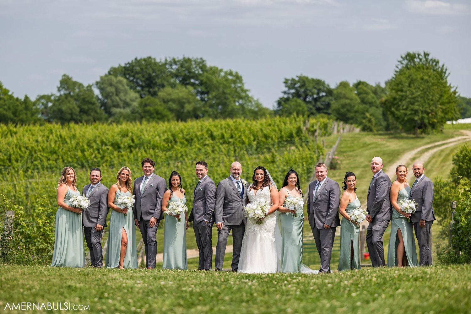 Wedding party poses on hilltop with vineyard rows and summer sky in background.