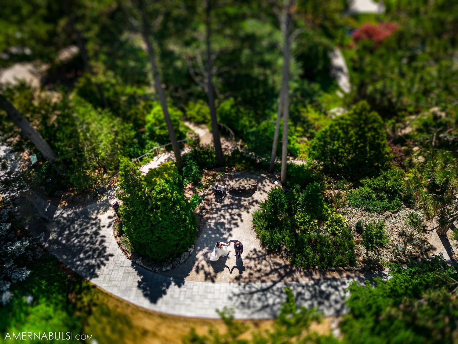 Tilt-shift photography of garden wedding ceremony seating with guests gathered in a sunny outdoor setting.
