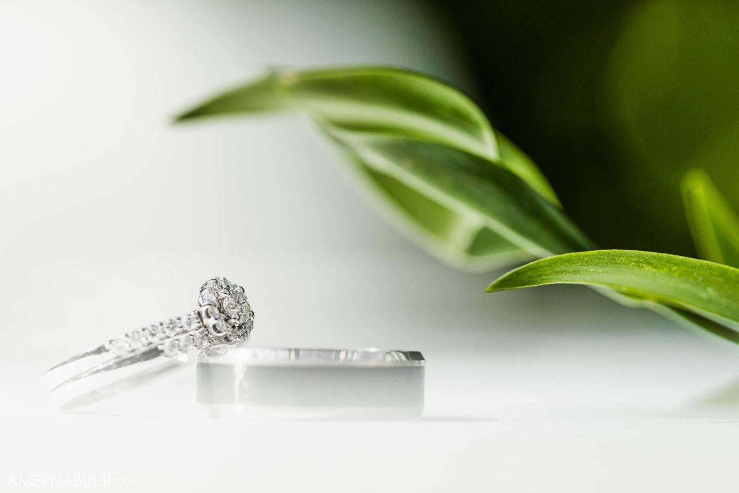 Diamond engagement ring and wedding band photographed with green leaf in background.