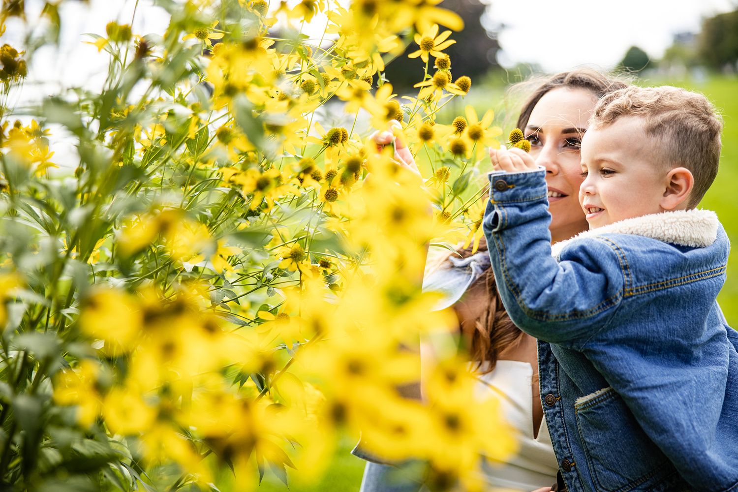 A couple shares an intimate moment among vibrant yellow flowers in a garden setting.