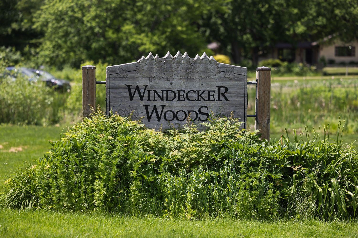 Weathered wooden Windecker Woods sign surrounded by lush green bushes and trees outdoors.