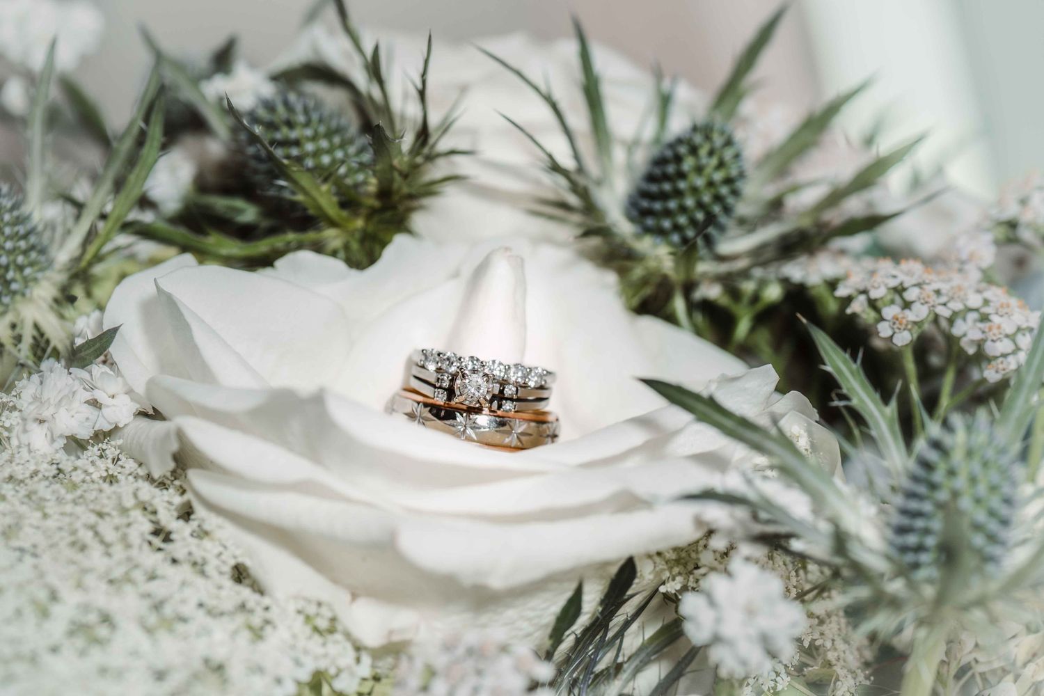 Wedding rings displayed on white fabric with decorative greenery and thistle accents.