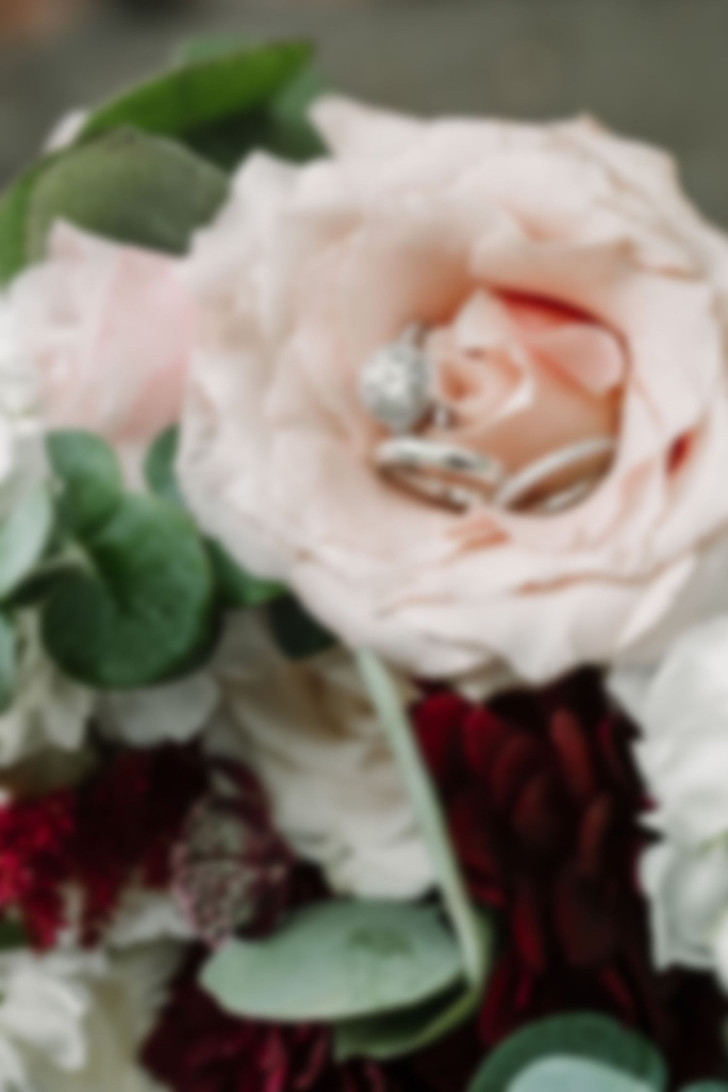 Soft focus images of pale pink and burgundy roses with wedding rings.