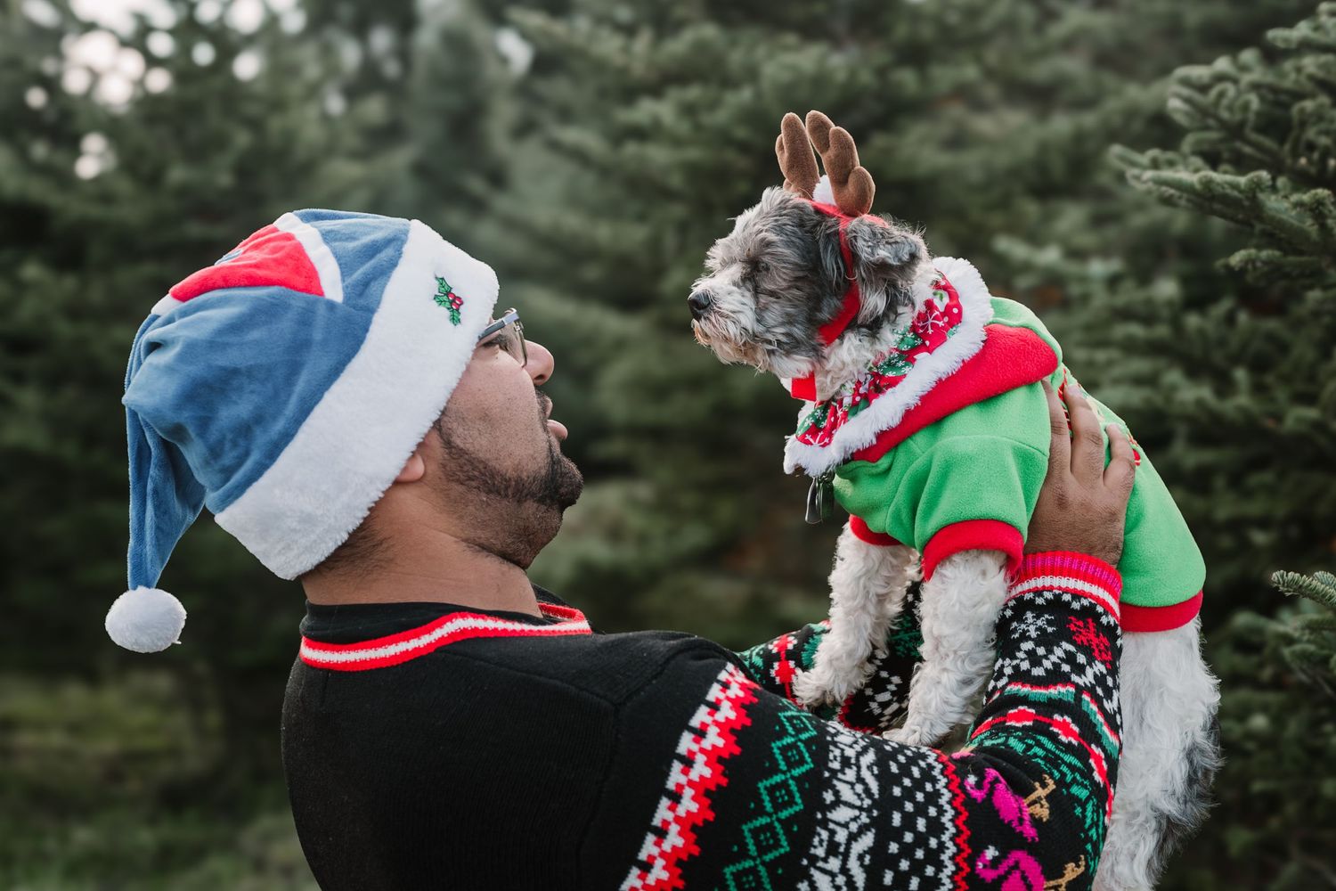 Winter themed pet photography session with dog in Christmas attire.