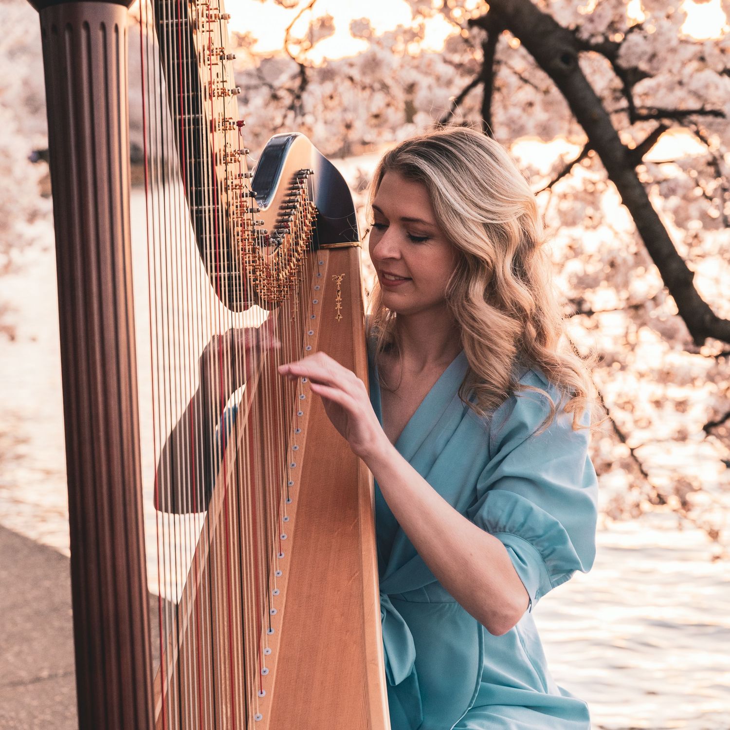 Musical performance with harp against a backdrop of blooming cherry trees at dusk.