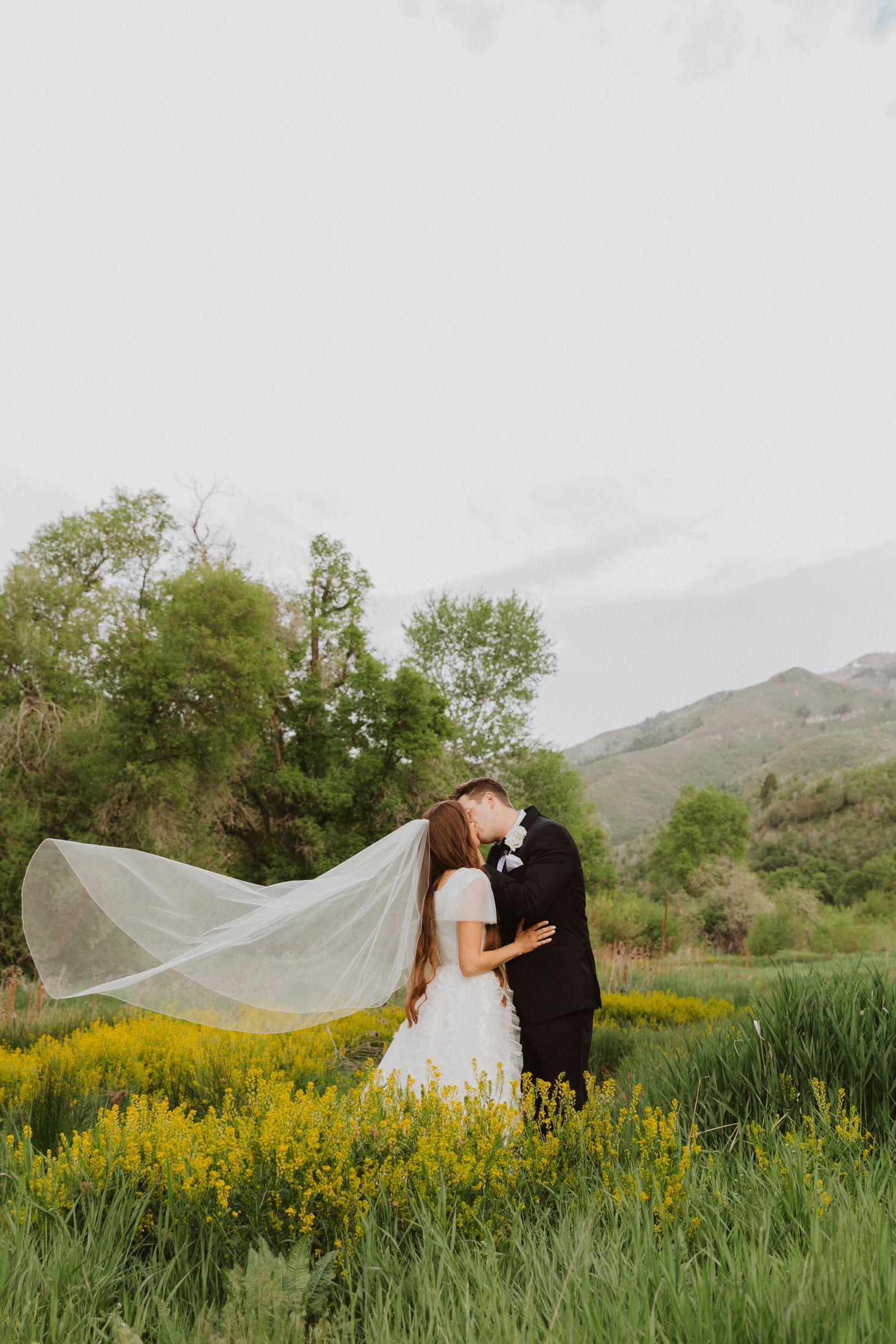 Bridal pictures in Utah county for couple getting married, in a field with wildflowers in Provo