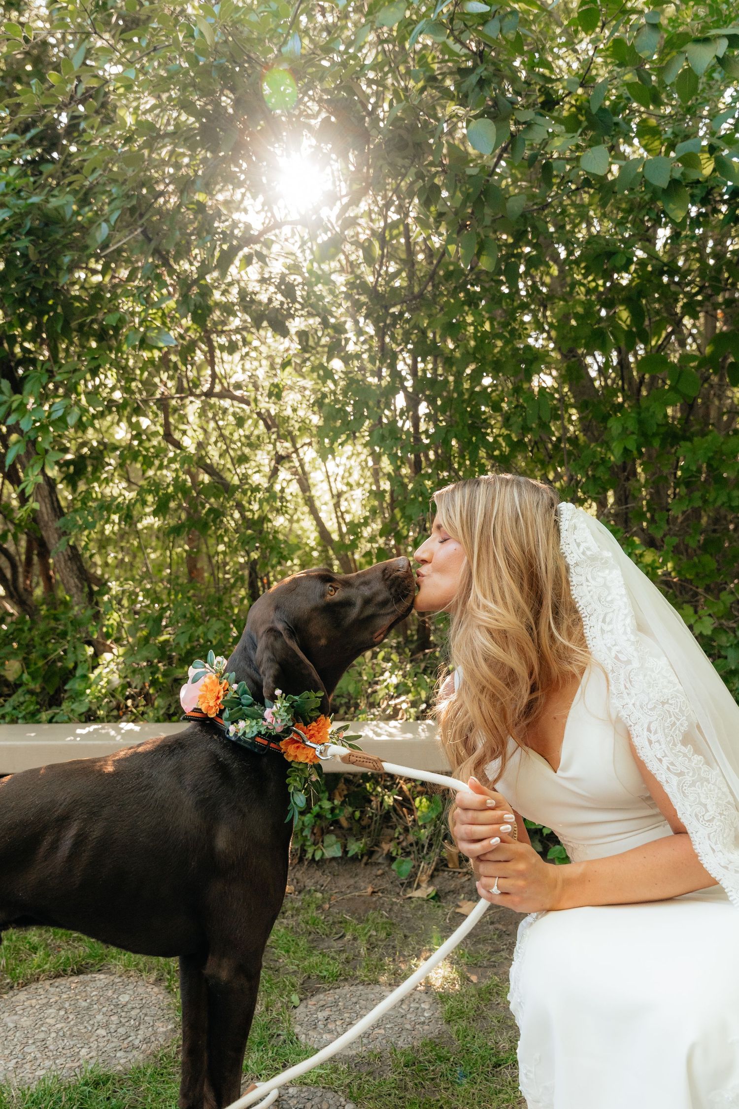 Bride in white gown and veil shares a sweet kiss with her black Labrador wearing a floral collar outdoors.