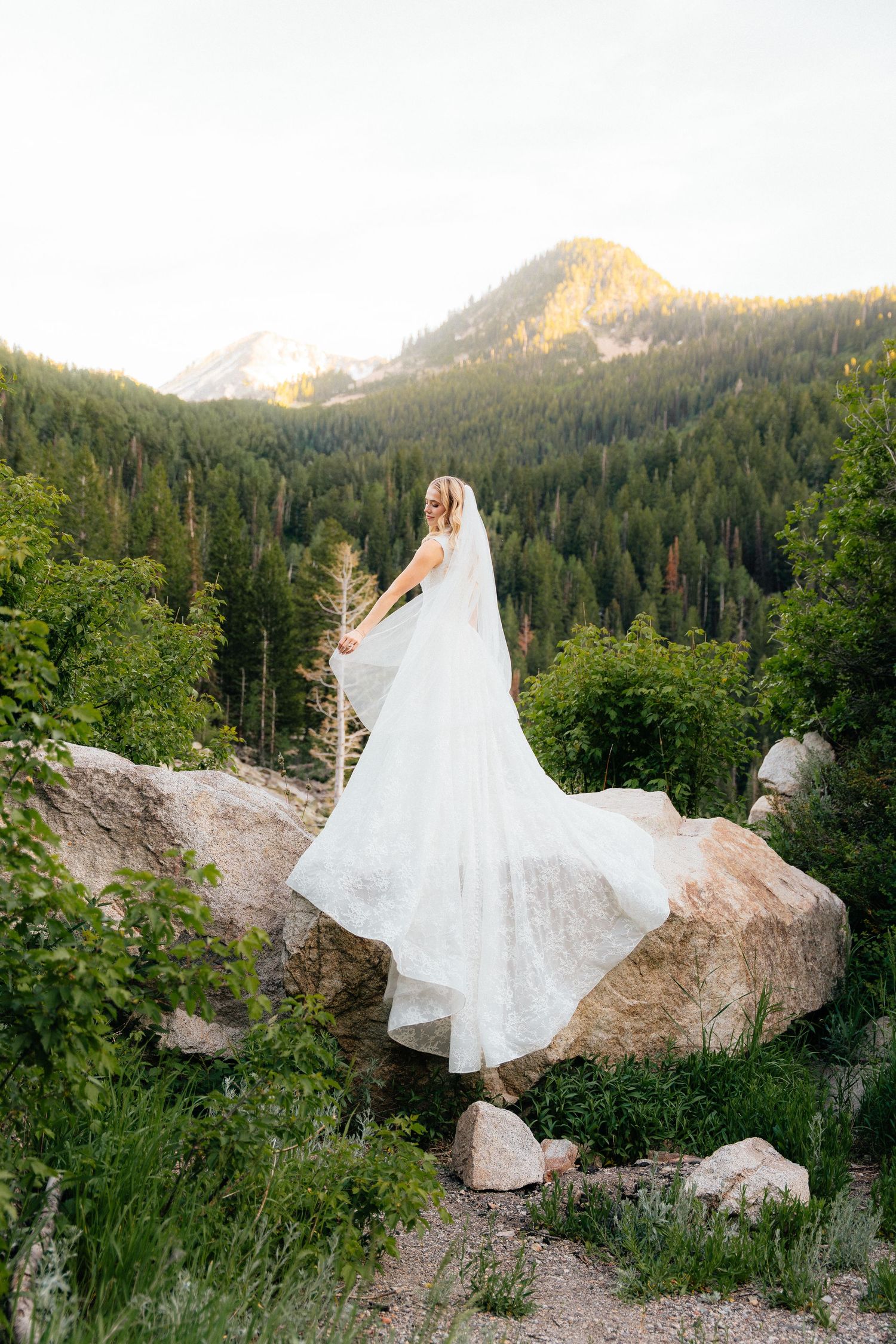 Bride in white gown and veil stands on rocky mountain overlook surrounded by lush pine forest and snow-capped peaks.