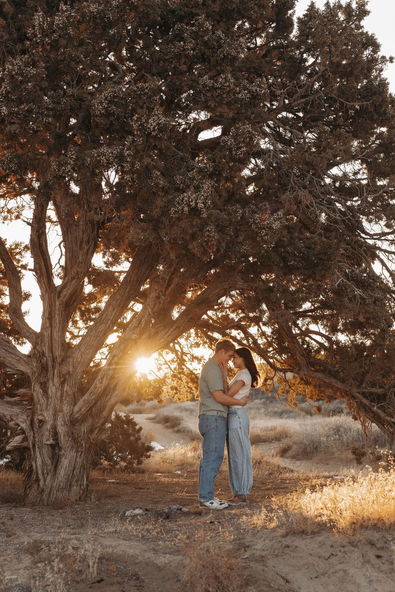 A couple embraces under a large tree at sunset with golden light filtering through the branches in a desert landscape.