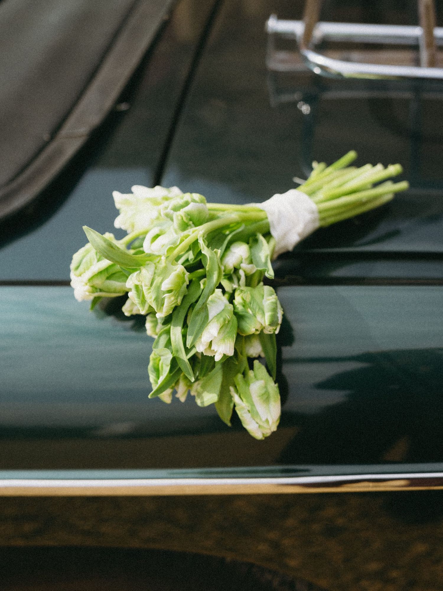 A bouquet of green tulips tied with white ribbon resting on a dark green car hood.