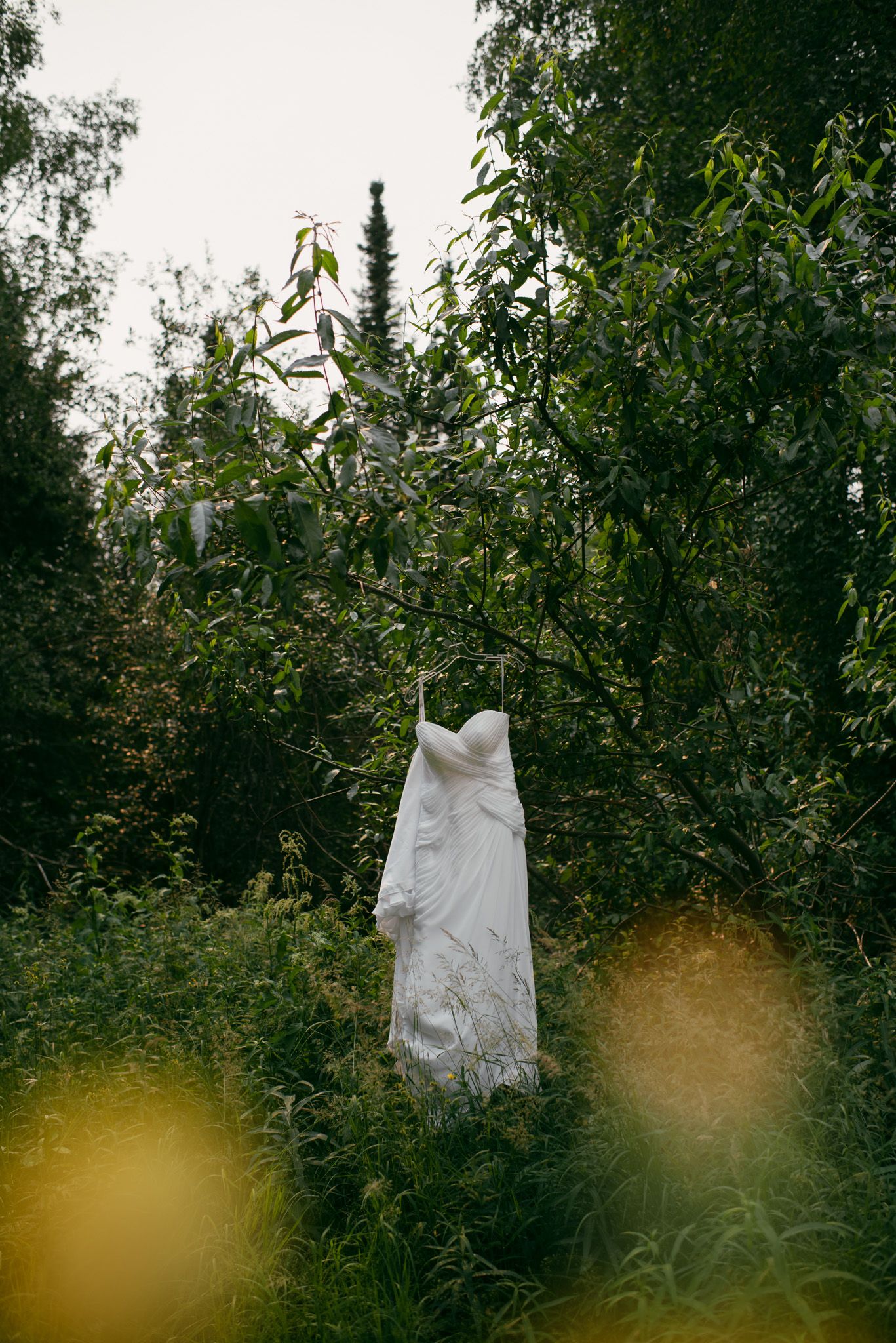 Wedding dress displayed on a tree surrounded by yellow flowers, creating a glowing effect at Midnight Sun Golf Course in Fairbanks, Alaska.