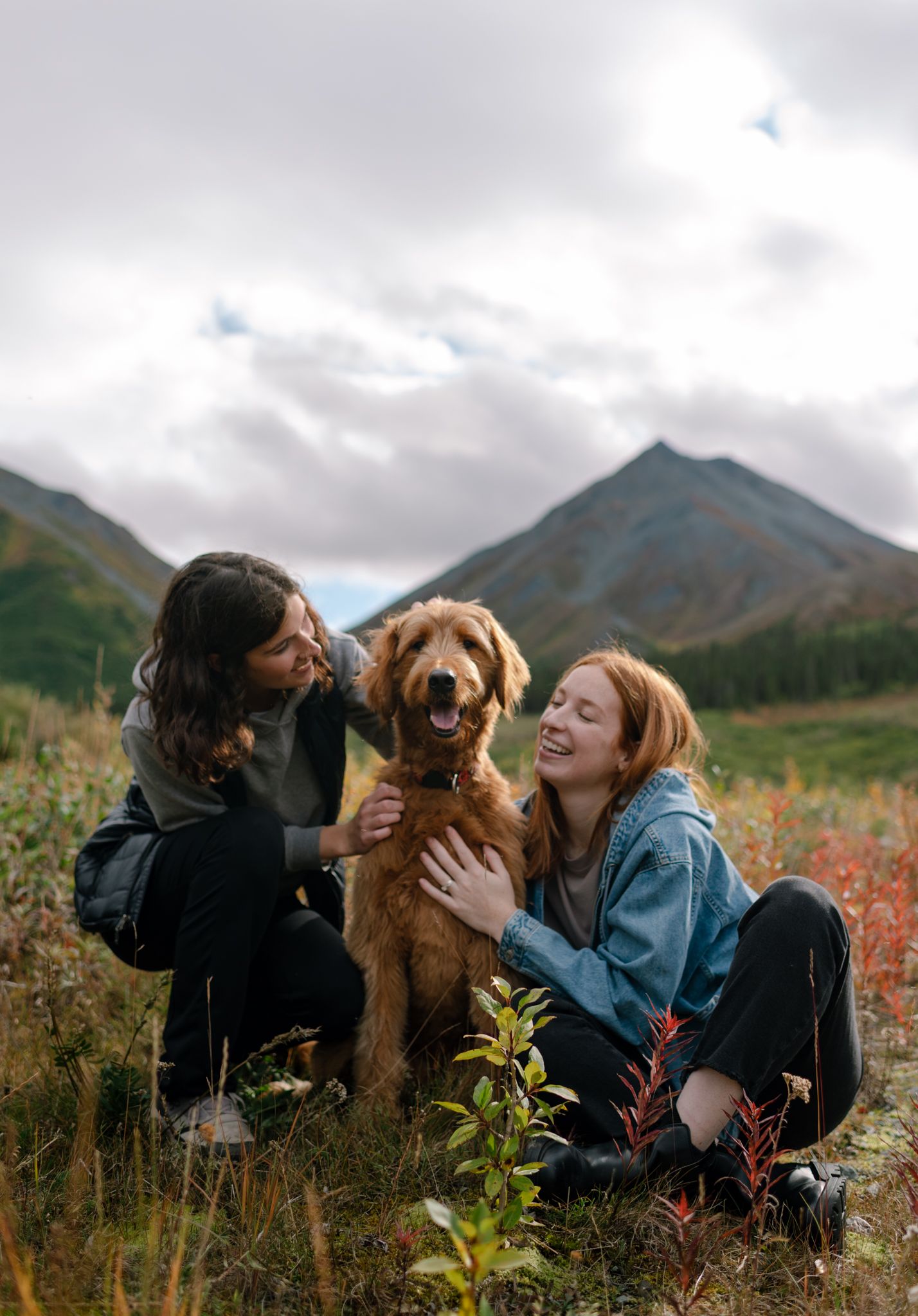 Alaska family photographer capturing a family and their pup during an autumn outdoor portrait session.