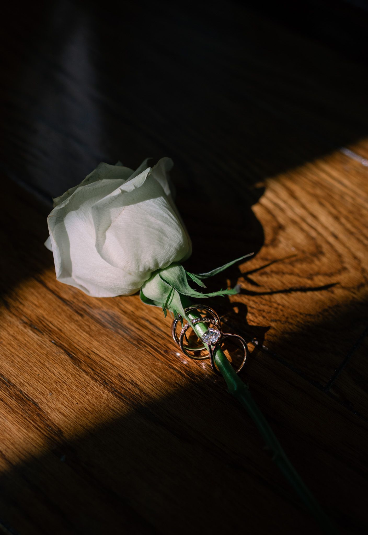 Close-up of wedding rings on a wooden table, capturing intricate details, photographed in Fairbanks, Alaska.
