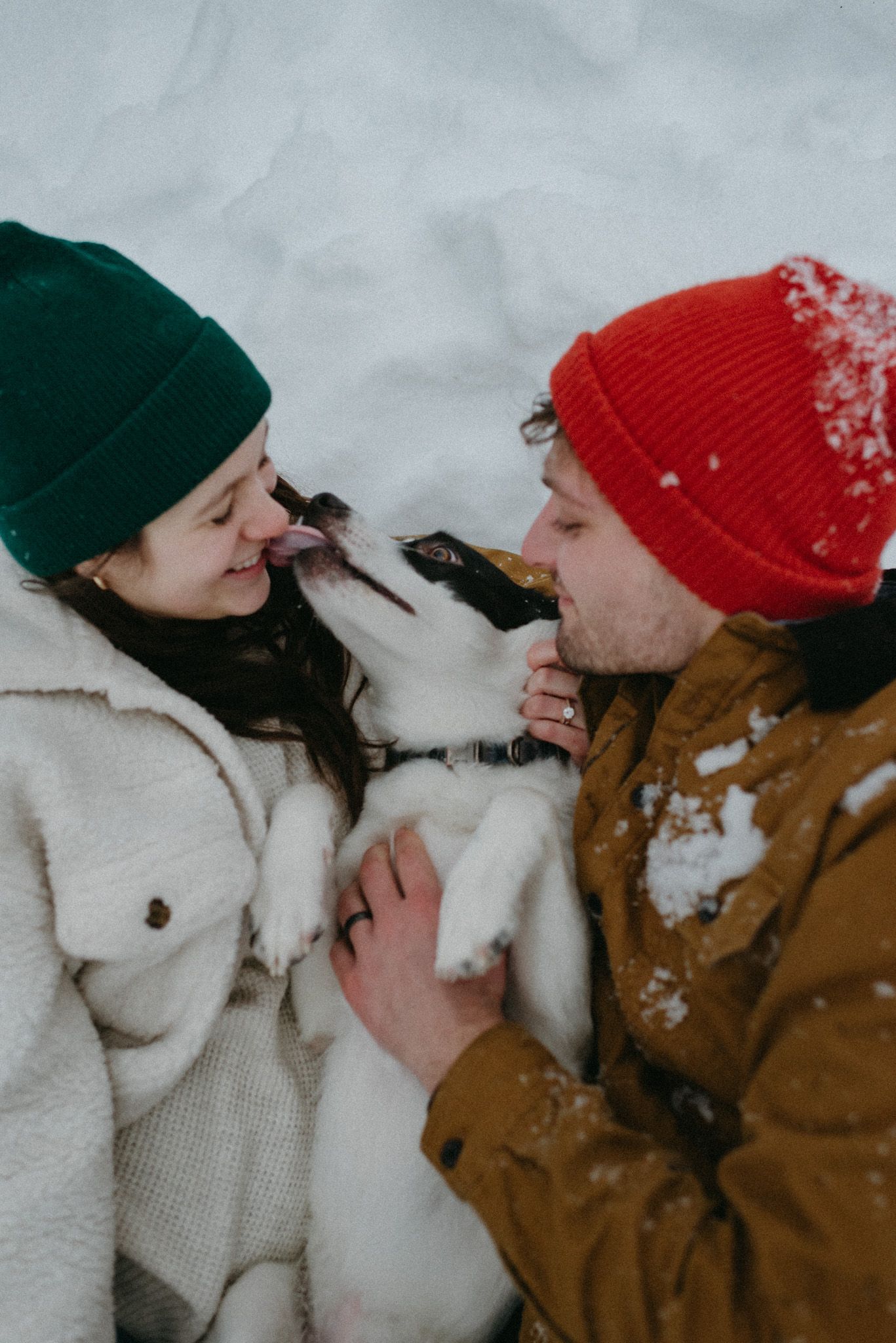 Sweet couple with their dog in a snowy winter landscape in Fairbanks, Alaska.
