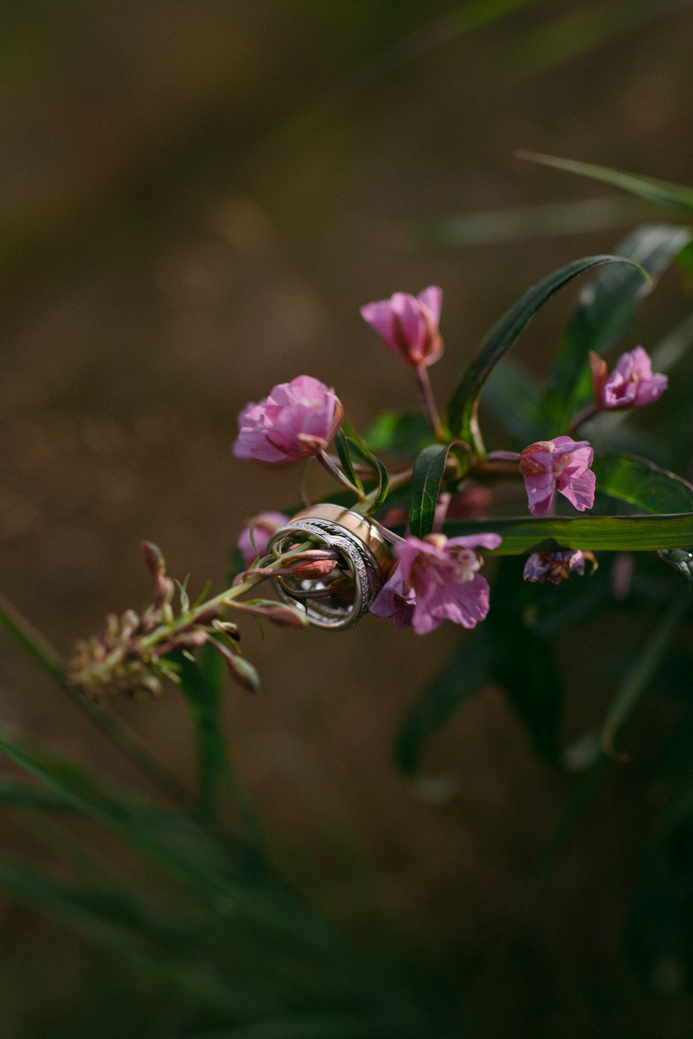 Close-up wedding photography of ring resting on flowers in Alaska.