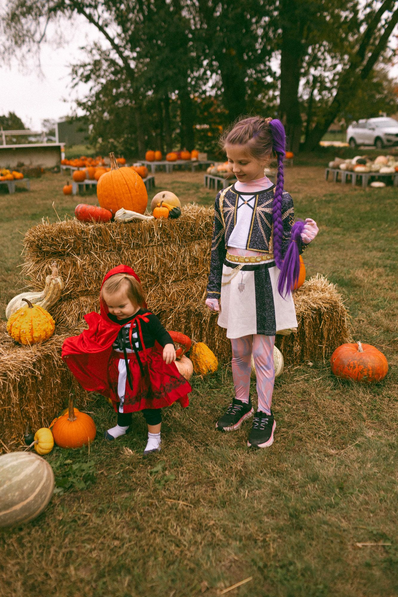 halloween is better in concordia kansas come self pay at the pumpkin patch