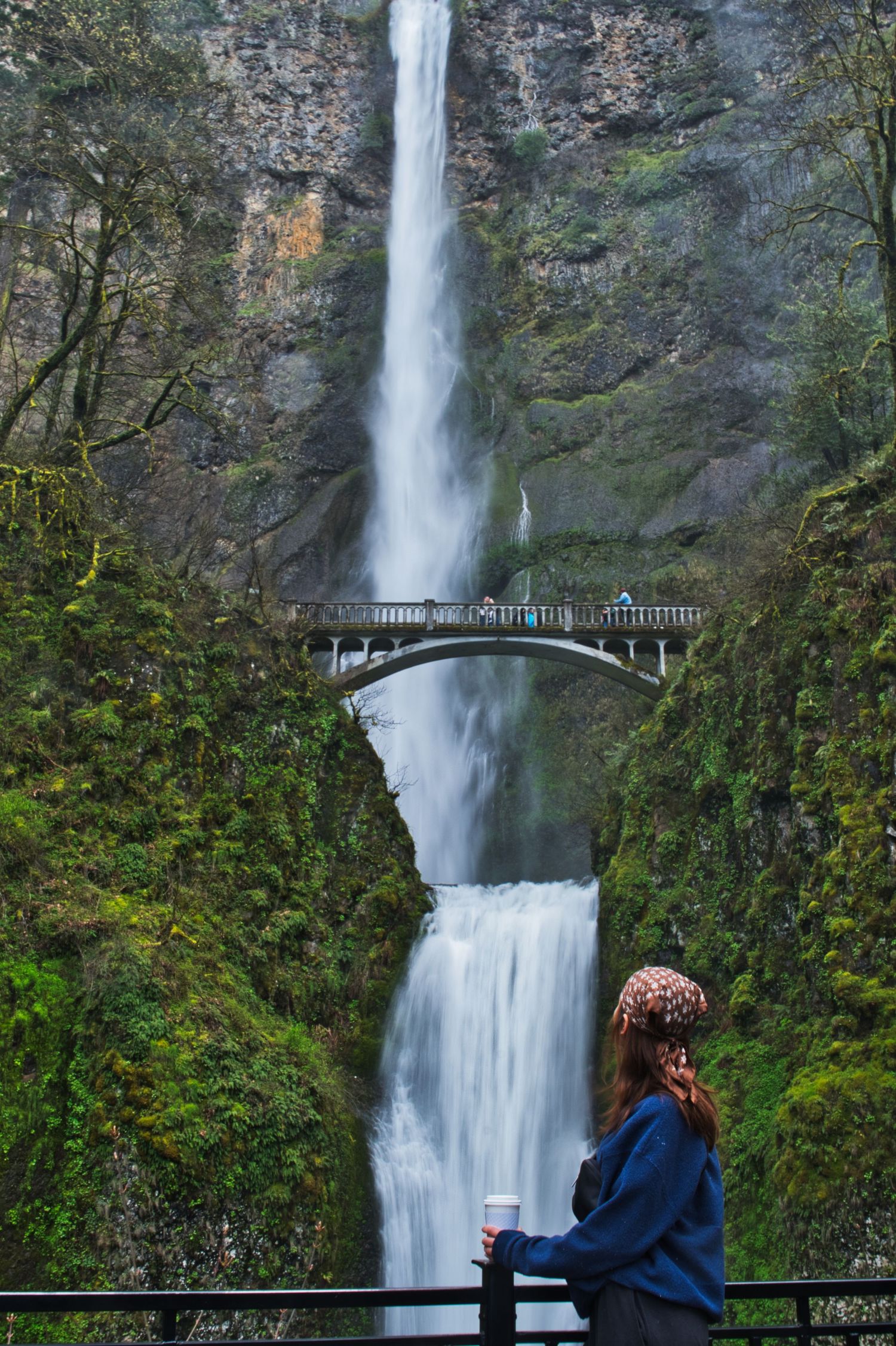multnomah falls
