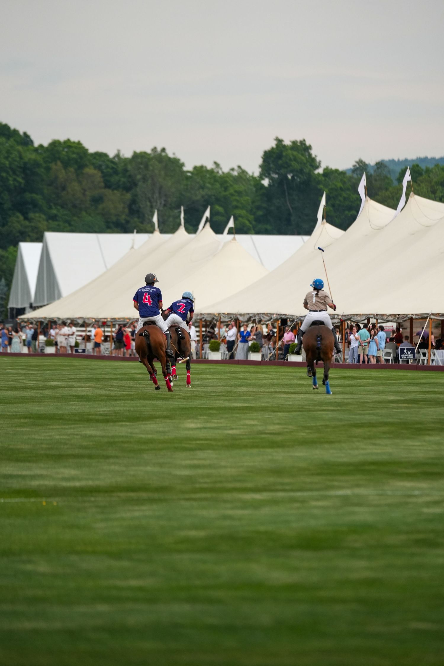 Farmington Polo Ground's first opening match, Stella Chalice Cup.