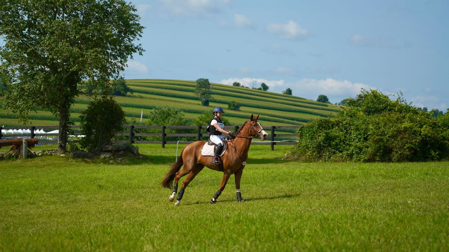 Millbrook, New York Equestrian