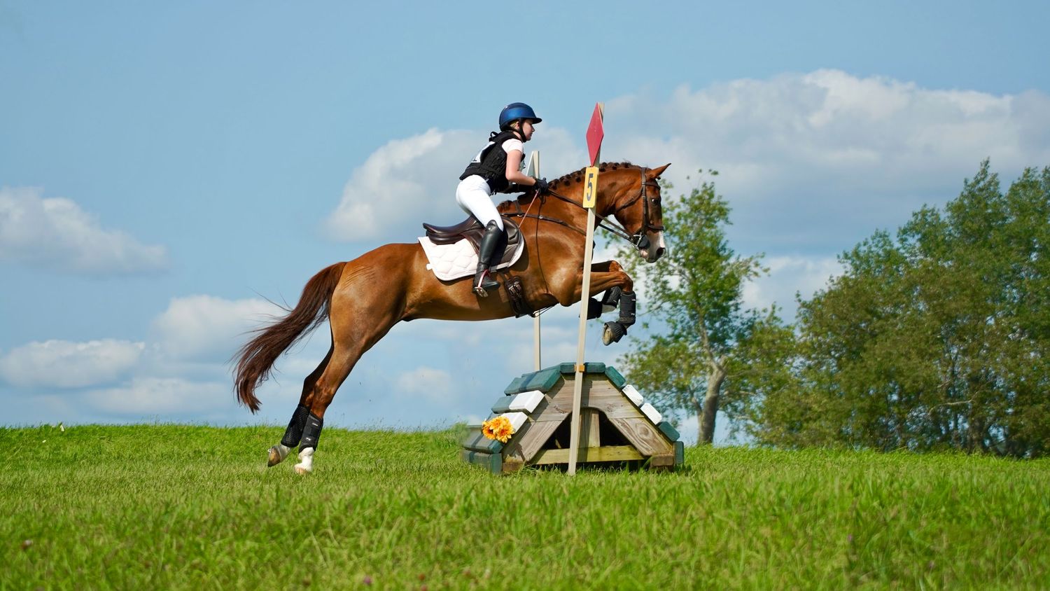Millbrook, New York Equestrian