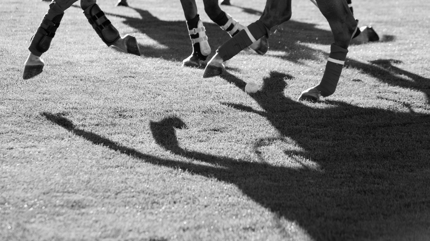Farmington Polo Grounds