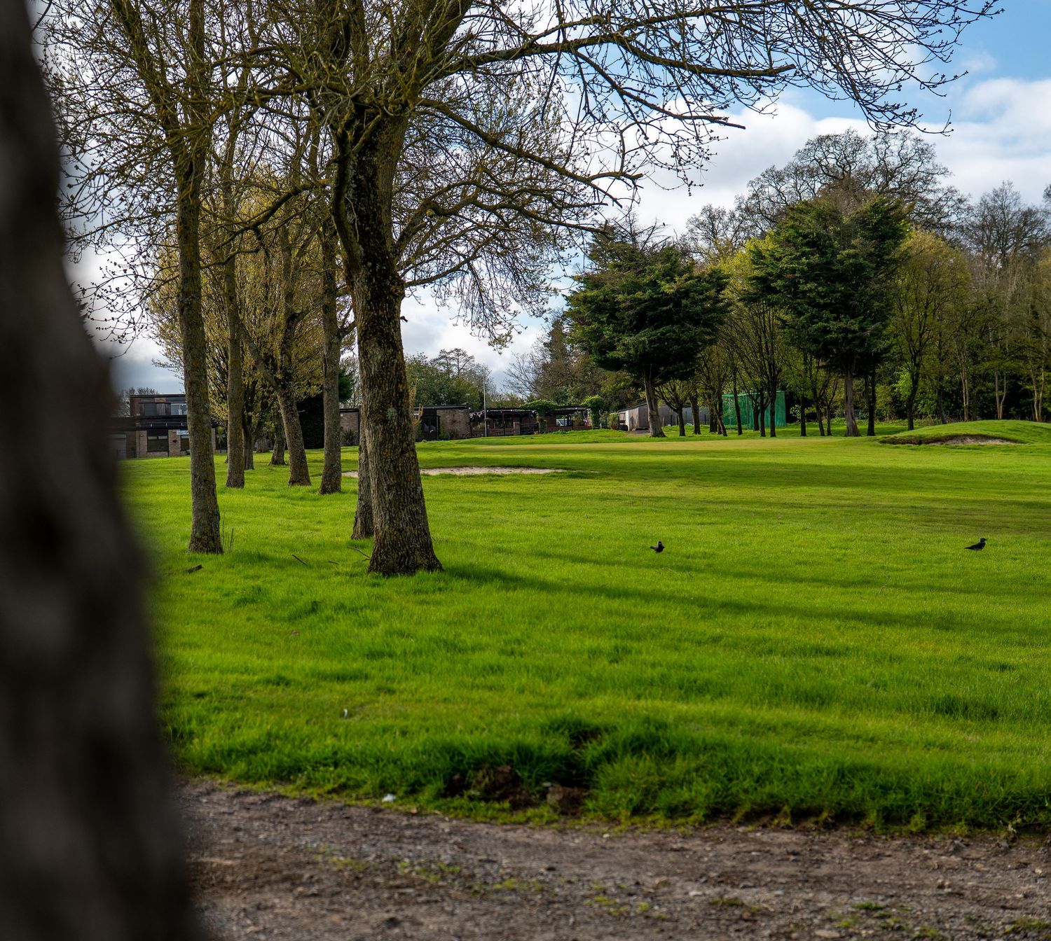 Scenic green golf course fairway lined with tall trees under a partly cloudy sky.