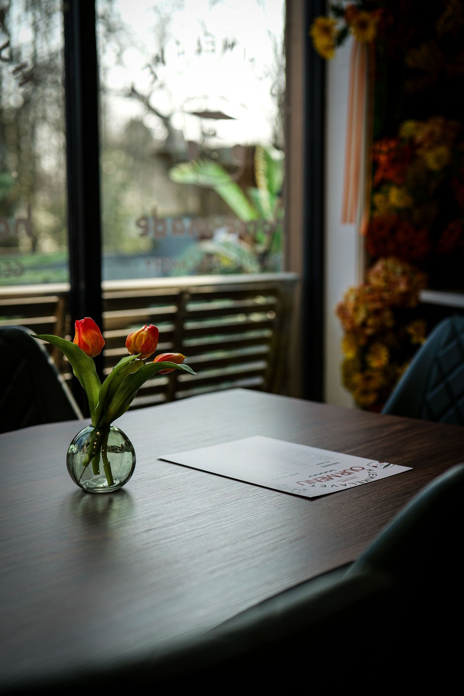 A red tulip in a glass vase sits on a dark wooden table by a window creating a serene minimalist scene.