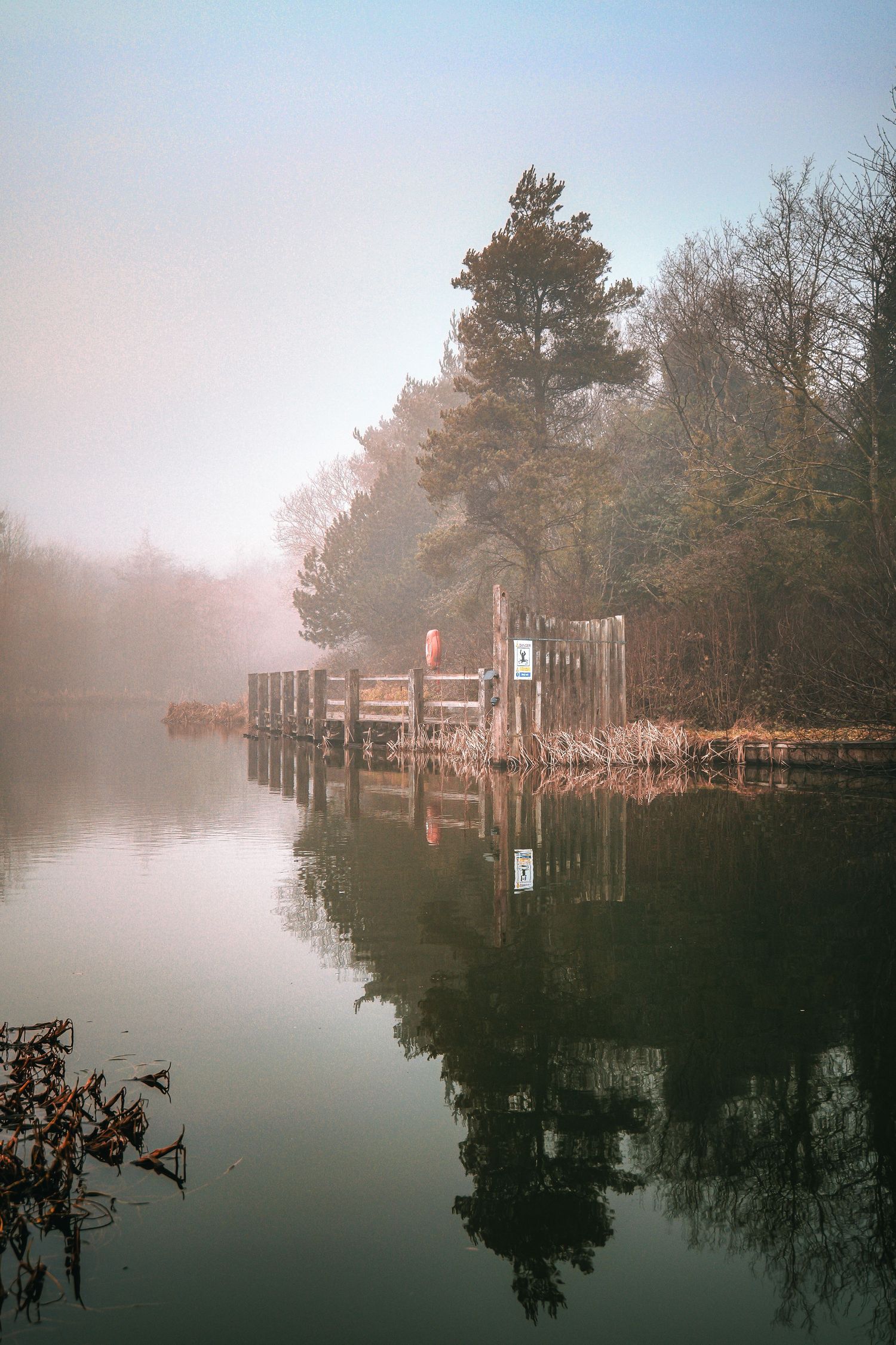 Misty morning view of a wooden pier and boat dock extending into calm waters with pine trees reflecting on the surface.