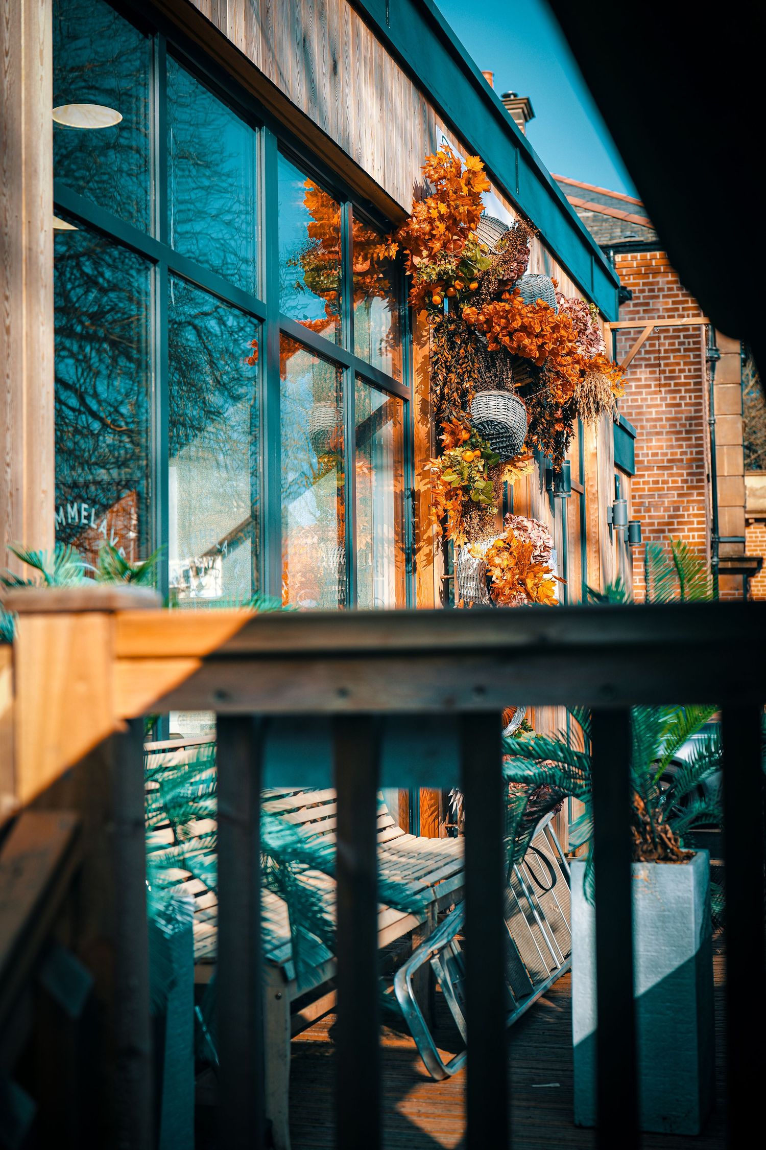 Modern building exterior with large windows and orange autumn foliage decorations against a teal-tinted reflective facade.