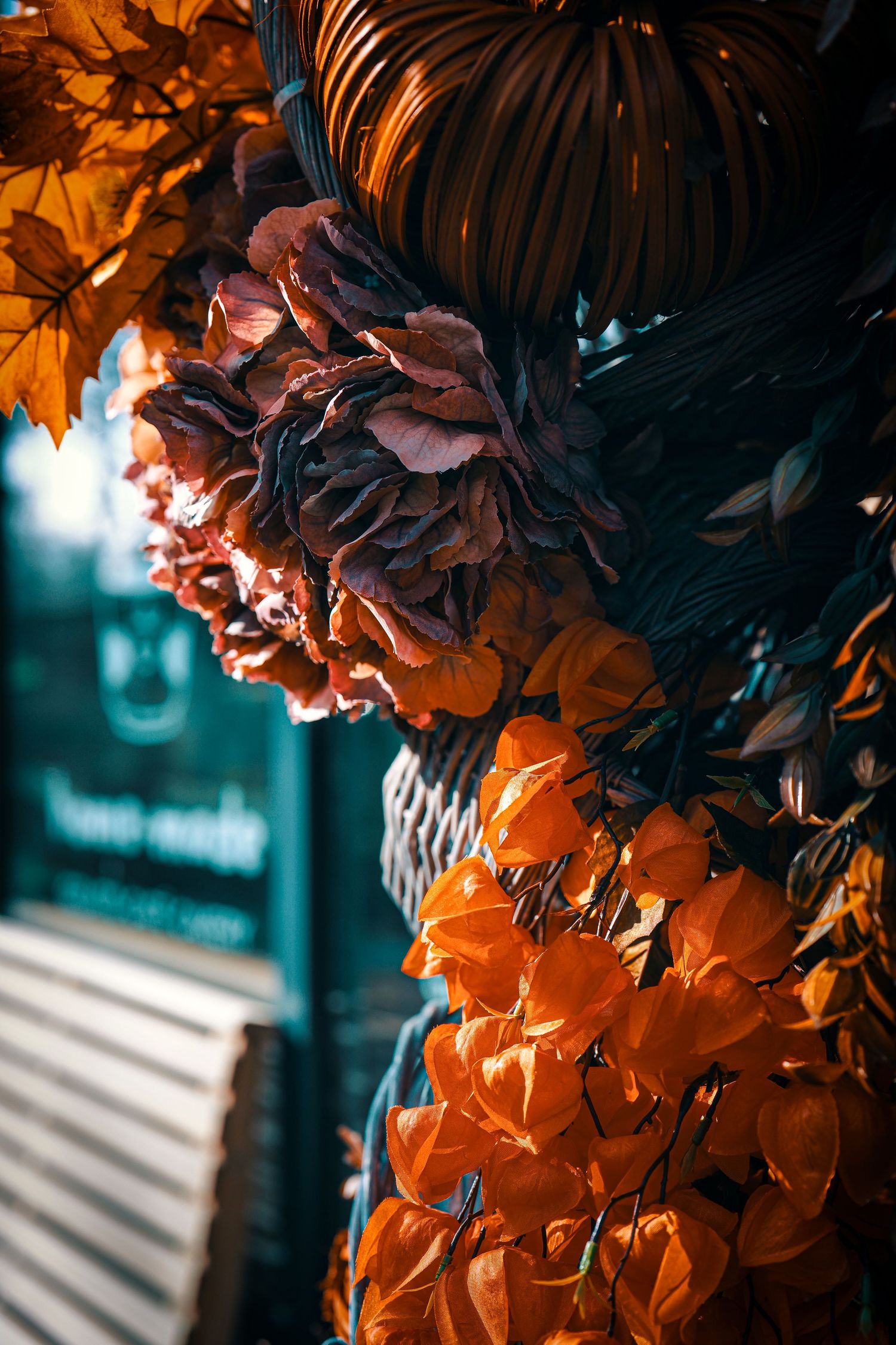 Orange autumn leaves create a dramatic contrast against a dark teal background with soft sunlight filtering through.