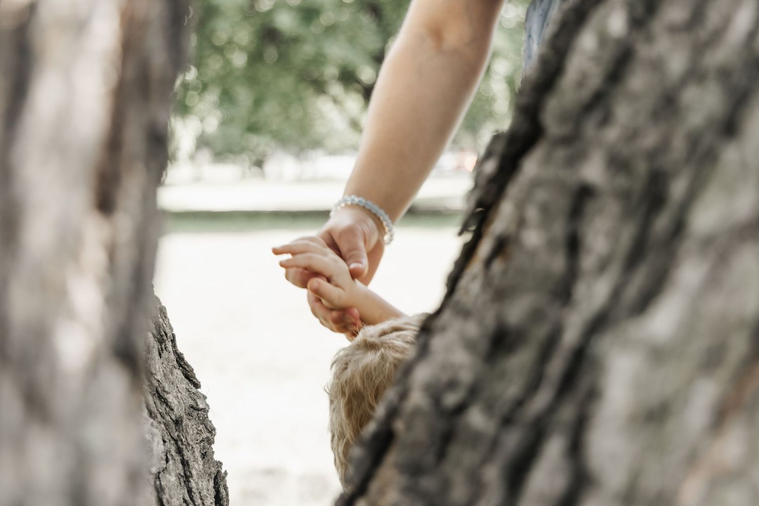 Close-up of an adult and small childs hands holding gently between two tree trunks in a park.