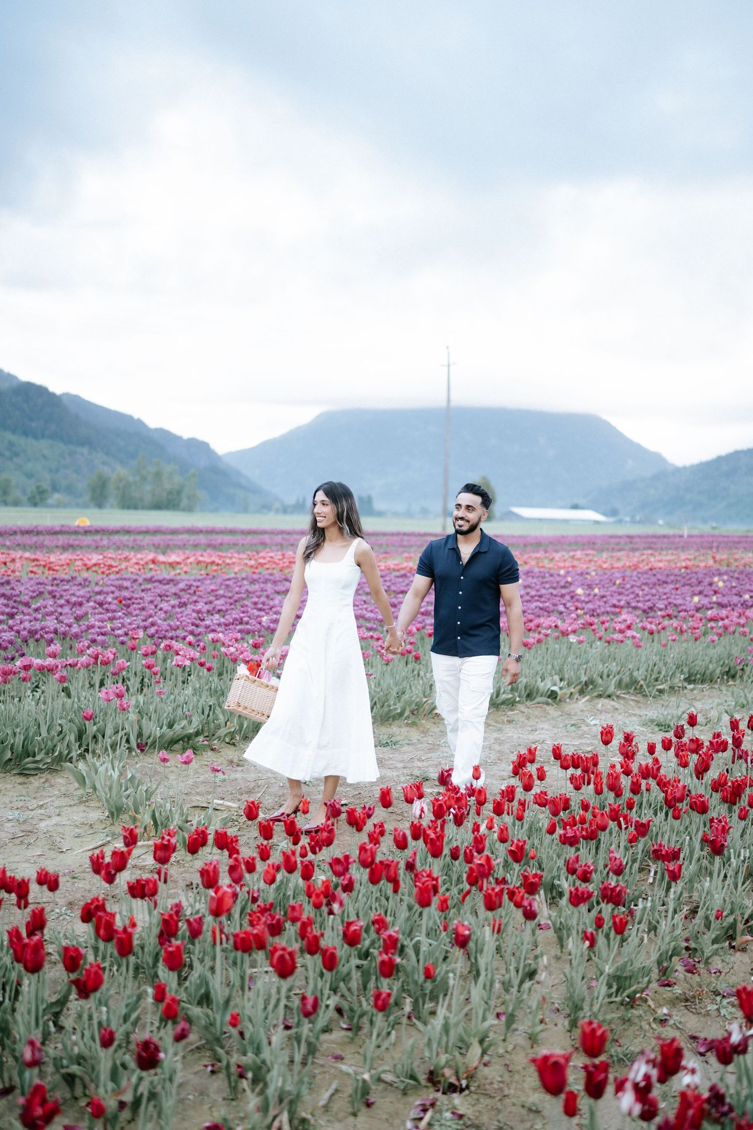 Couple walking through vibrant red tulip fields with mountains in the background on a cloudy day.