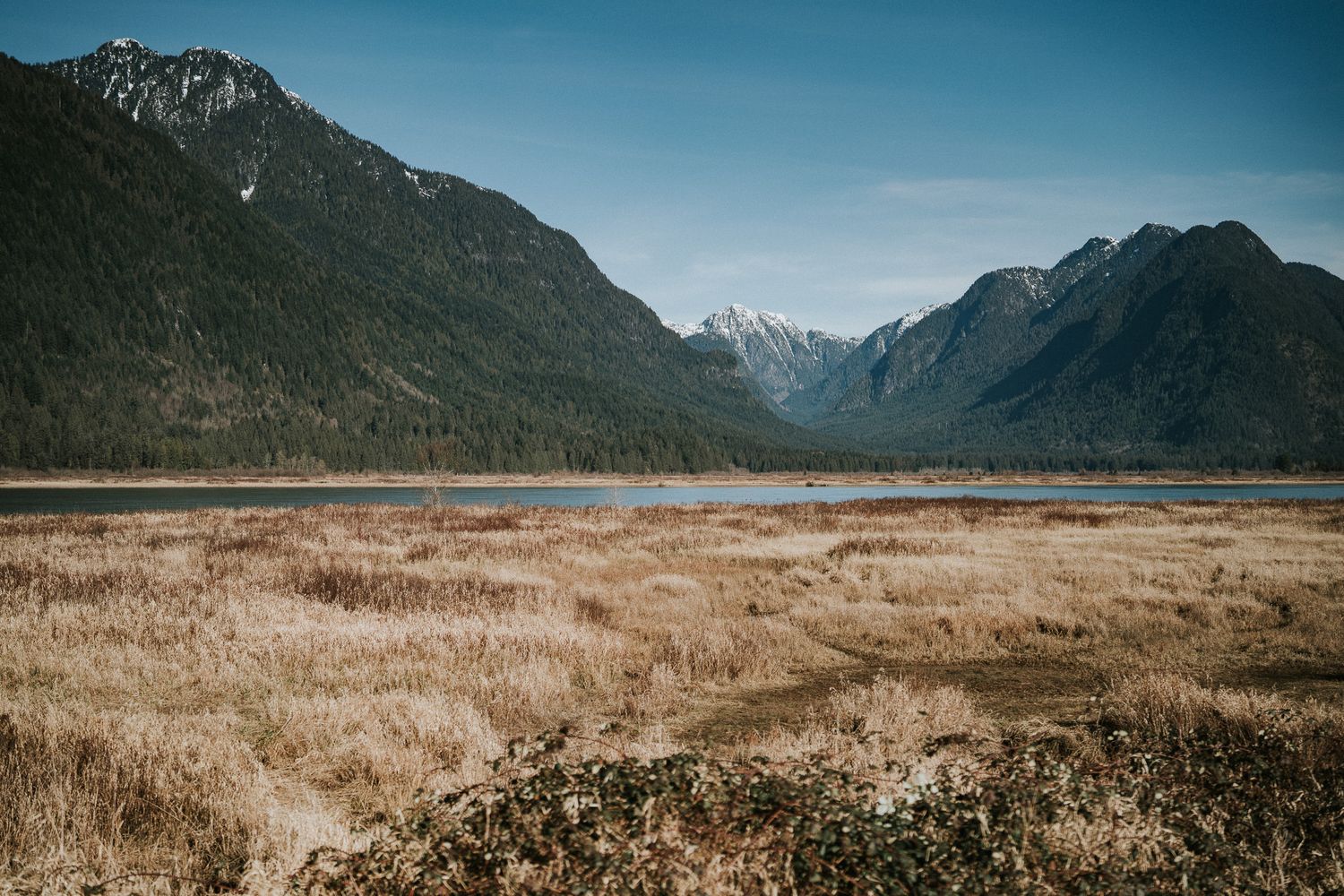 A scenic panoramic view of rugged mountain peaks and valleys in New Zealand's Fiordland National Park.
